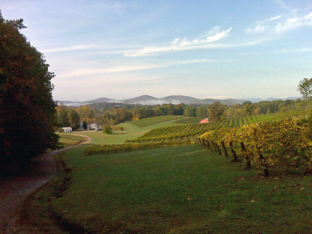 Three Sisters Vineyards