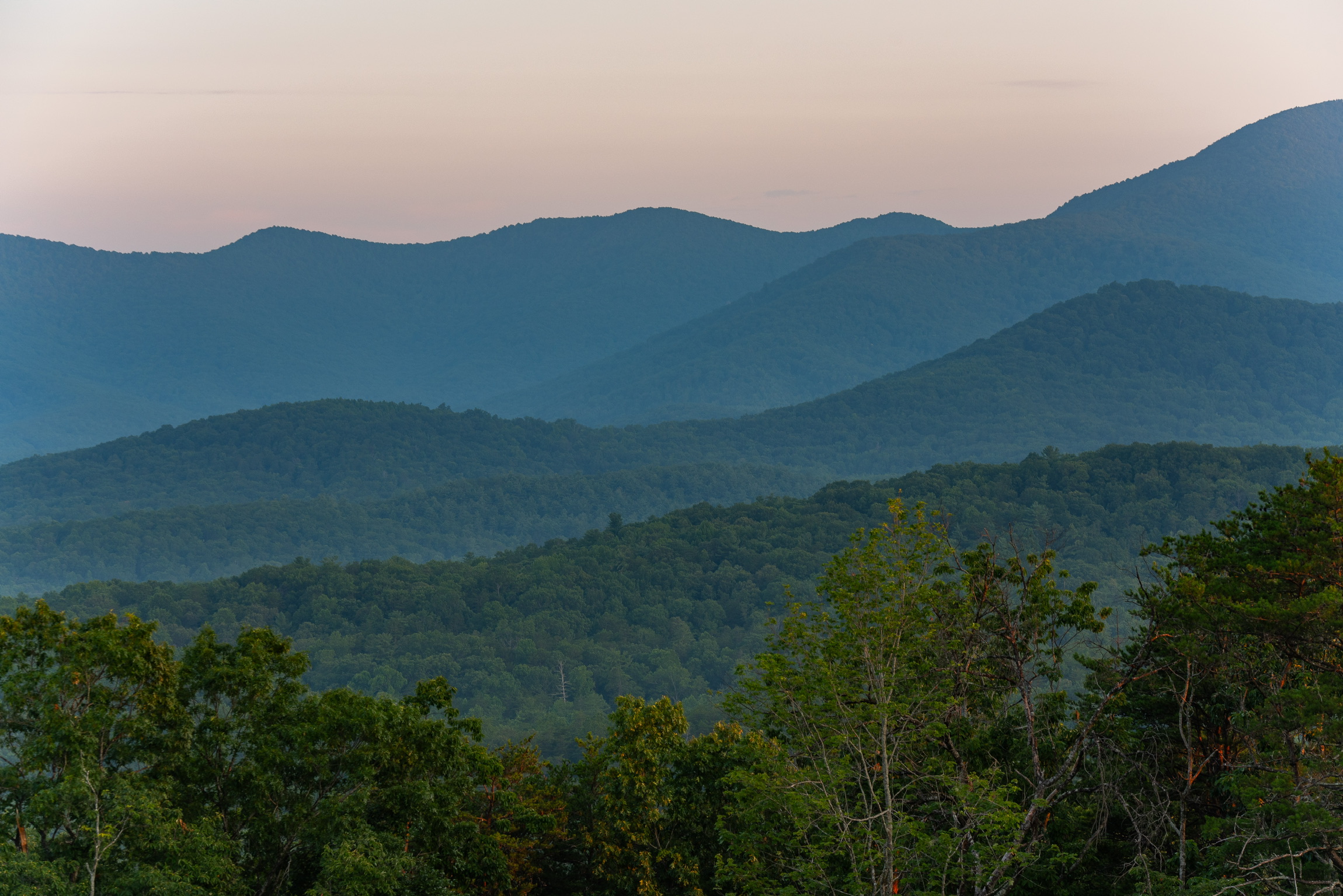 Yonah Mountain Vinyards